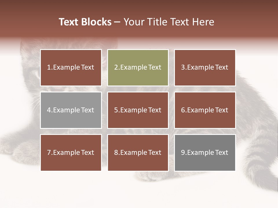 Isolated Detail Close Up Grey PowerPoint Template