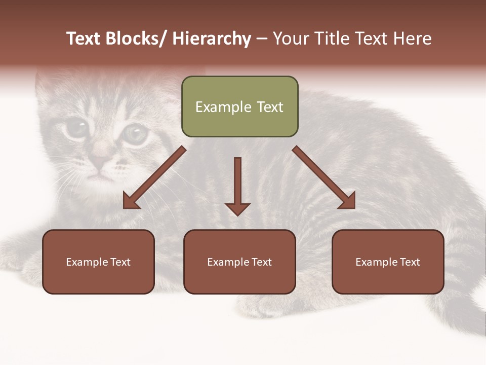 Isolated Detail Close Up Grey PowerPoint Template
