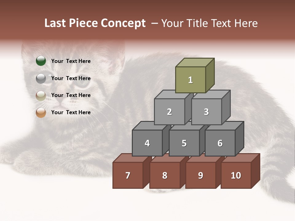 Isolated Detail Close Up Grey PowerPoint Template