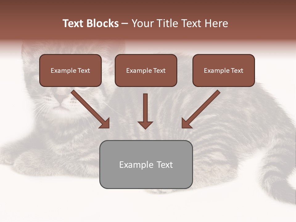 Isolated Detail Close Up Grey PowerPoint Template