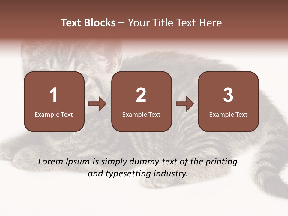 Isolated Detail Close Up Grey PowerPoint Template