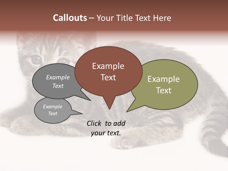 Isolated Detail Close Up Grey PowerPoint Template