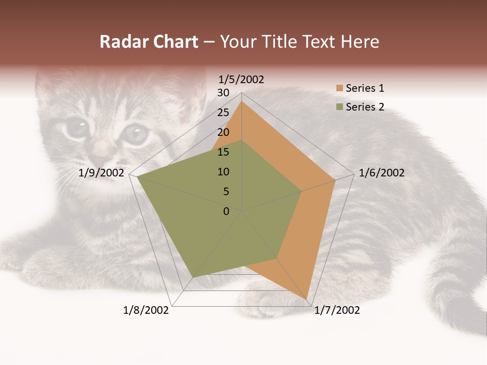 Isolated Detail Close Up Grey PowerPoint Template