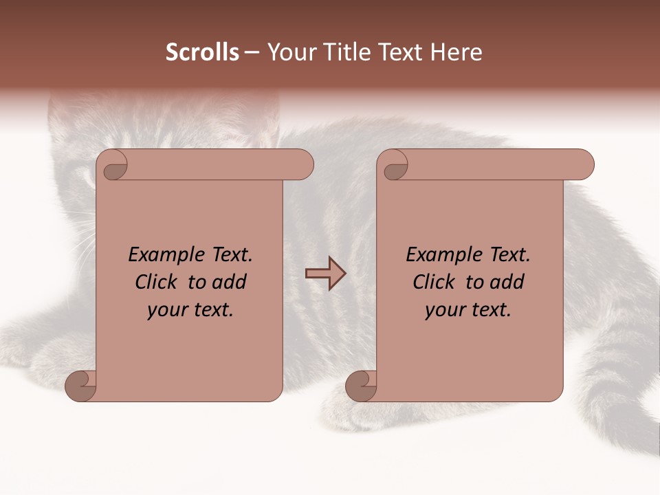 Isolated Detail Close Up Grey PowerPoint Template