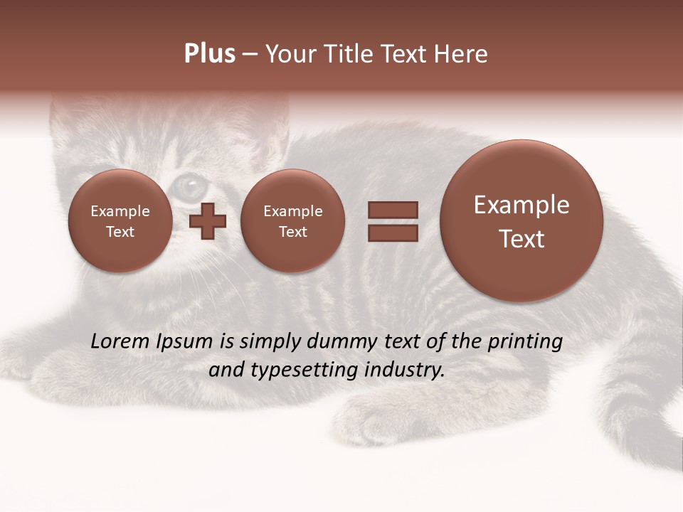 Isolated Detail Close Up Grey PowerPoint Template