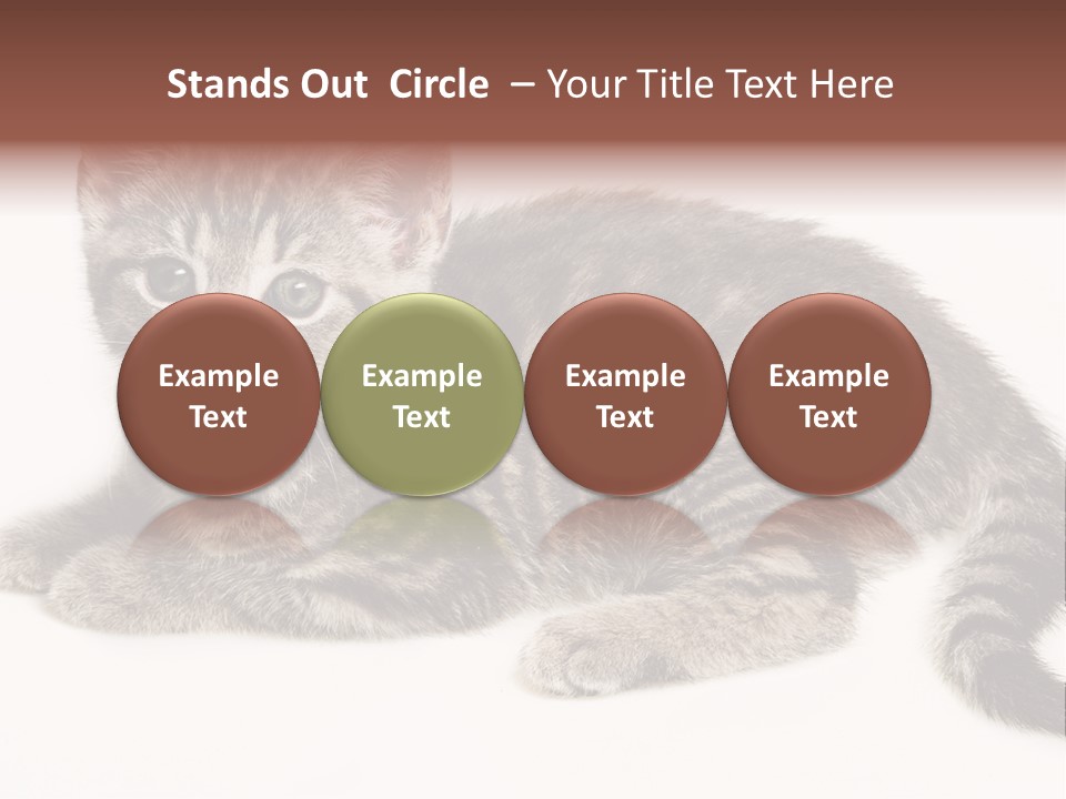 Isolated Detail Close Up Grey PowerPoint Template