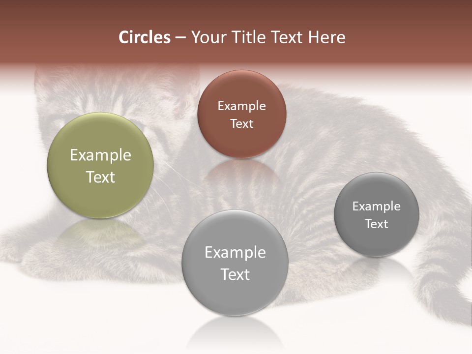 Isolated Detail Close Up Grey PowerPoint Template