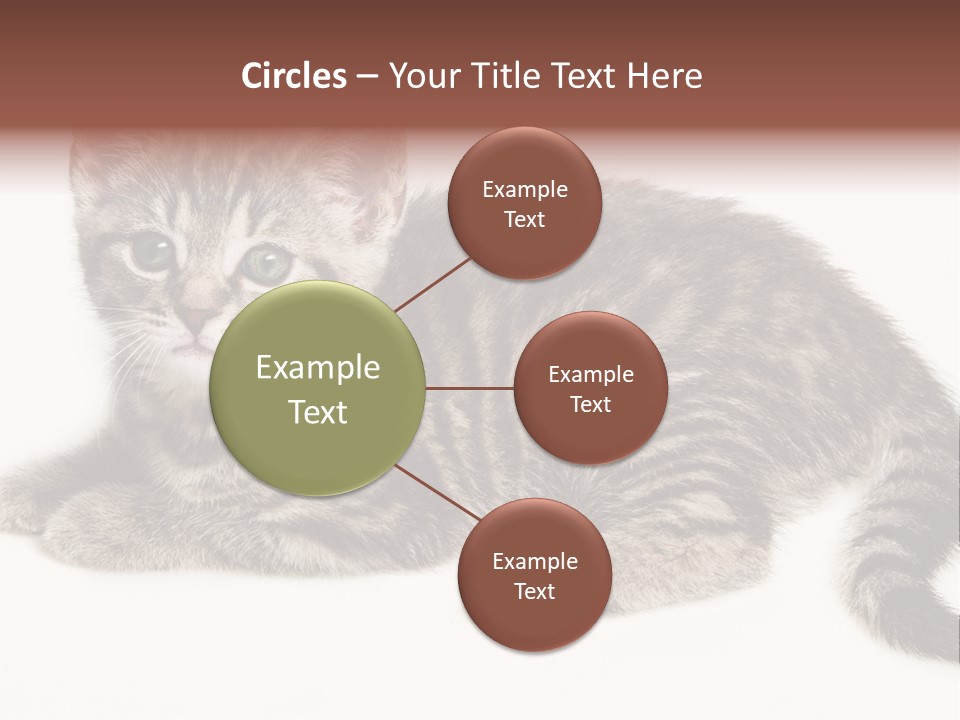 Isolated Detail Close Up Grey PowerPoint Template