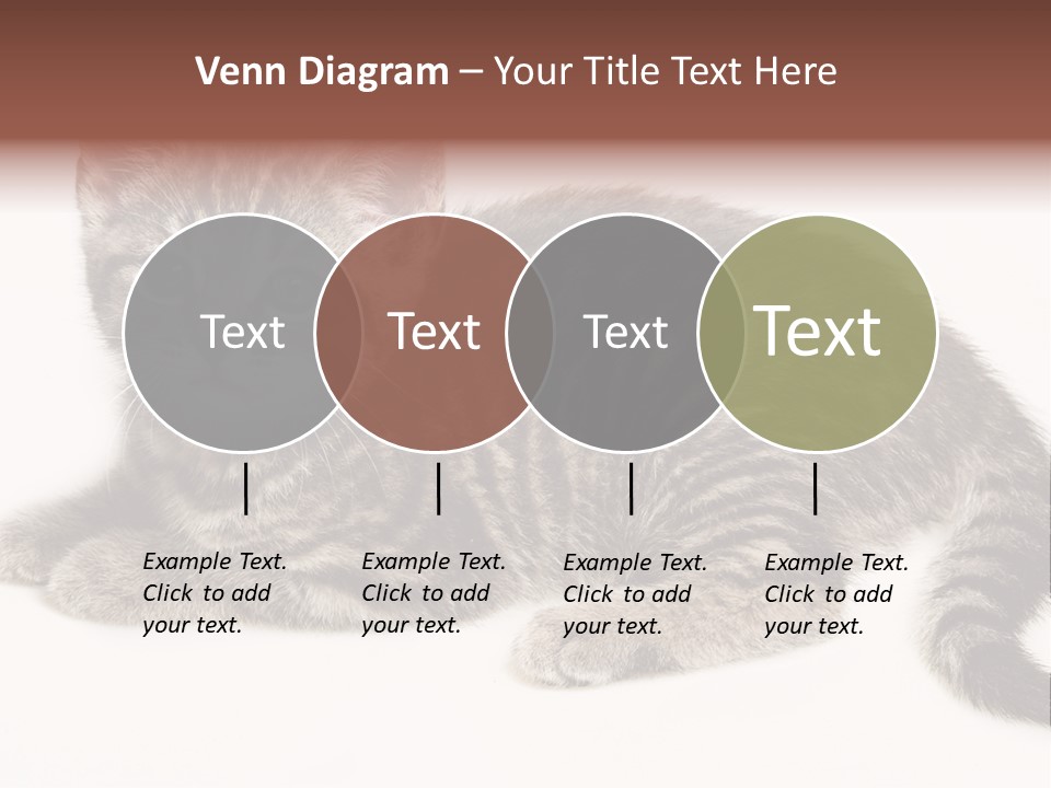 Isolated Detail Close Up Grey PowerPoint Template