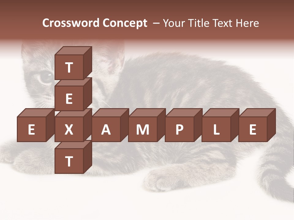 Isolated Detail Close Up Grey PowerPoint Template
