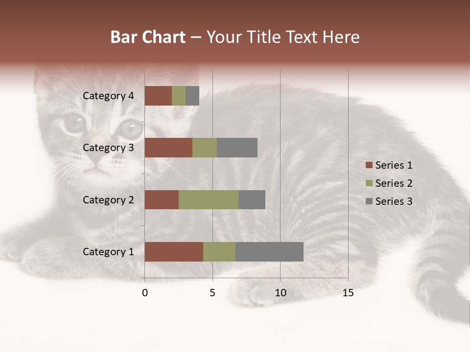 Isolated Detail Close Up Grey PowerPoint Template
