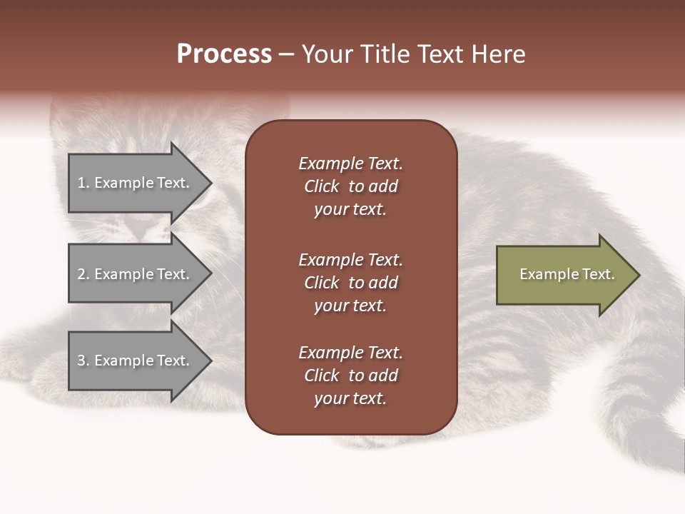 Isolated Detail Close Up Grey PowerPoint Template