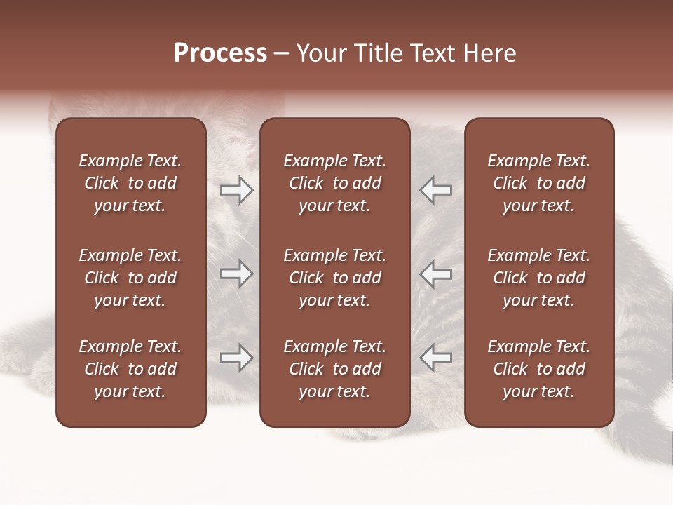 Isolated Detail Close Up Grey PowerPoint Template