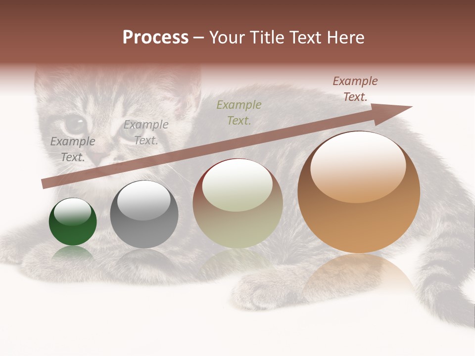 Isolated Detail Close Up Grey PowerPoint Template