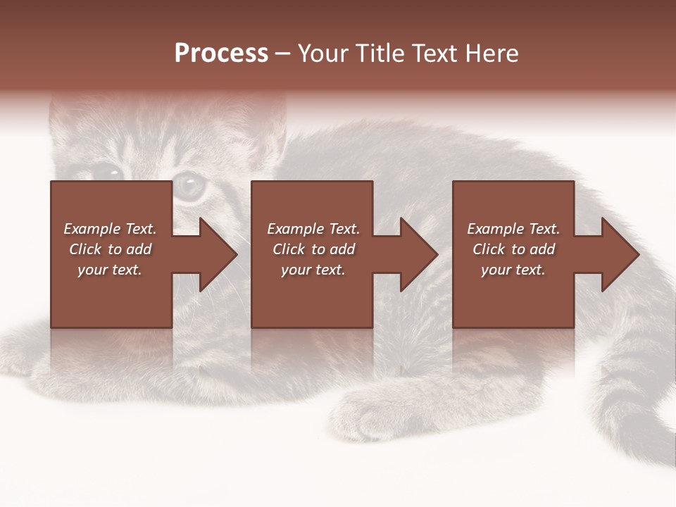 Isolated Detail Close Up Grey PowerPoint Template