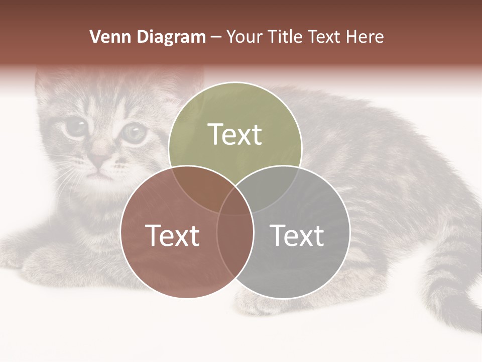 Isolated Detail Close Up Grey PowerPoint Template