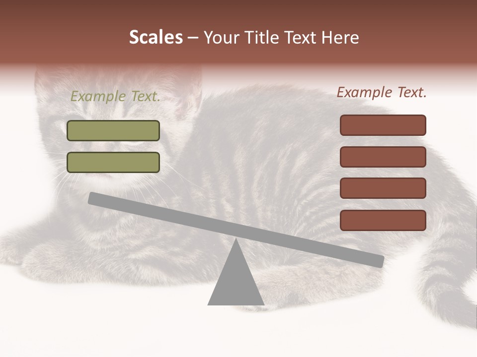 Isolated Detail Close Up Grey PowerPoint Template