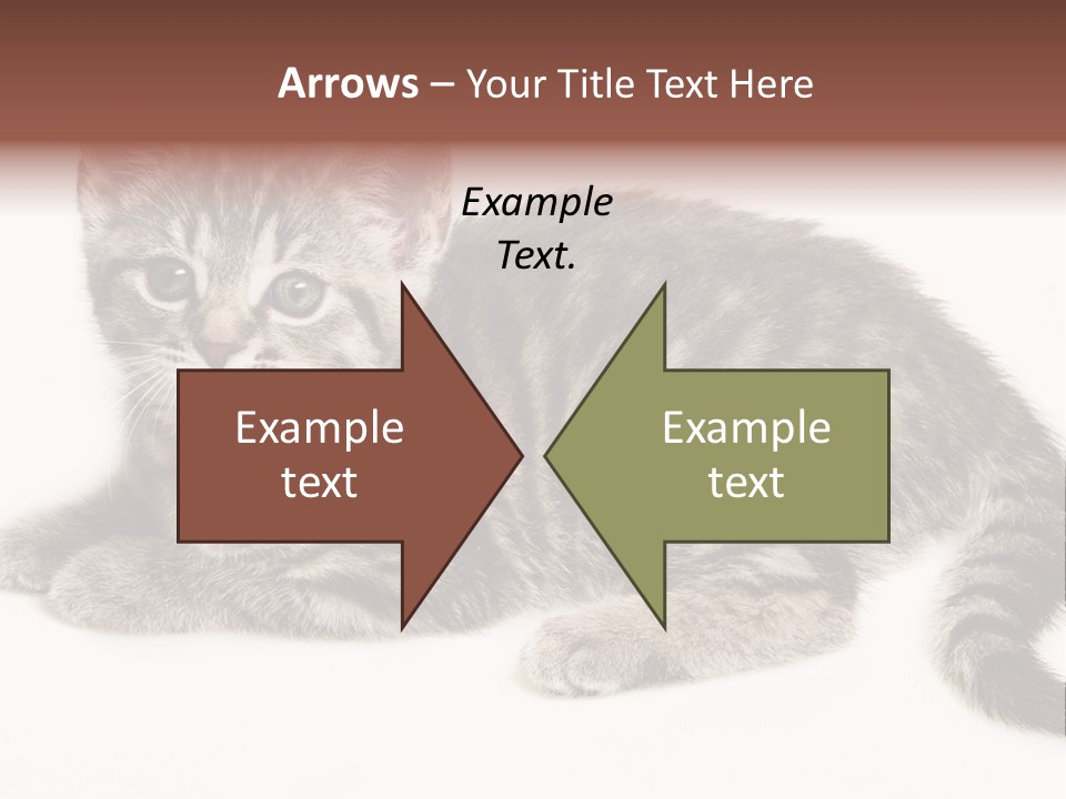 Isolated Detail Close Up Grey PowerPoint Template