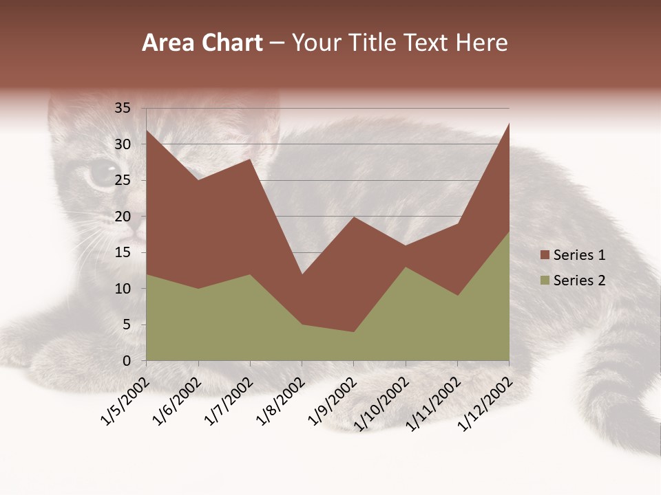 Isolated Detail Close Up Grey PowerPoint Template