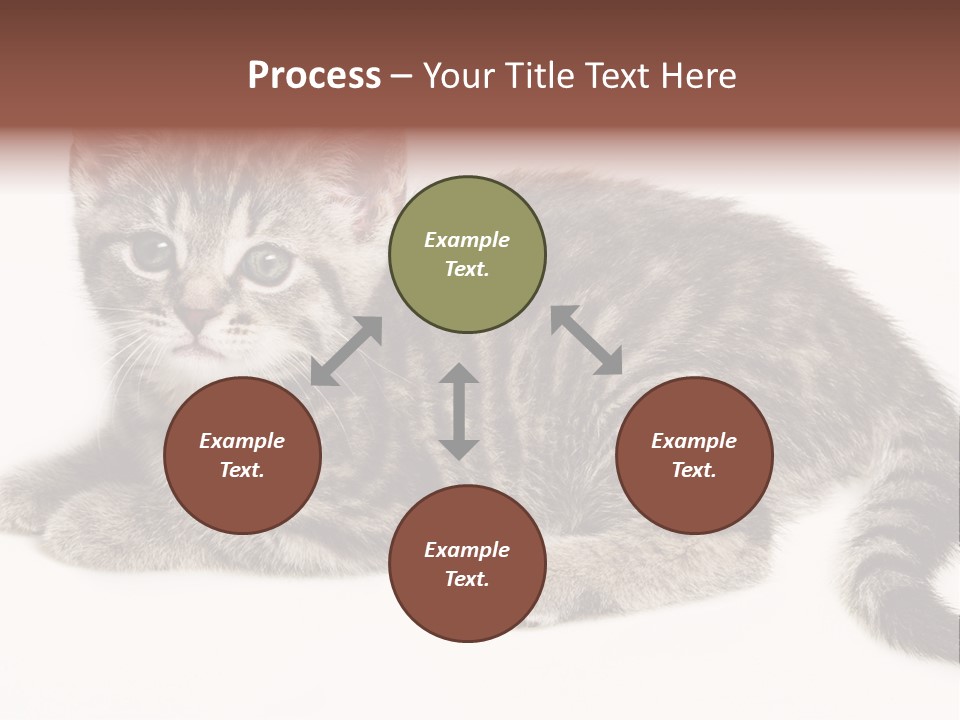 Isolated Detail Close Up Grey PowerPoint Template