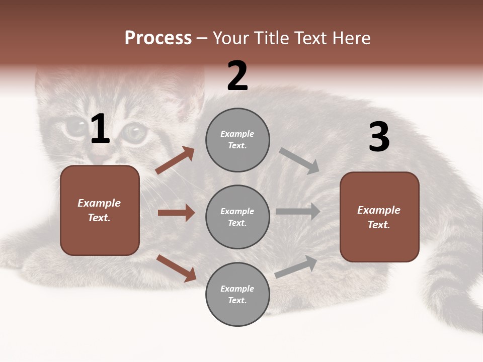 Isolated Detail Close Up Grey PowerPoint Template