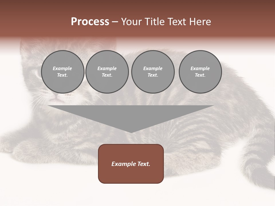 Isolated Detail Close Up Grey PowerPoint Template