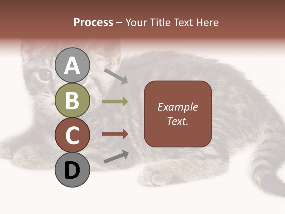 Isolated Detail Close Up Grey PowerPoint Template