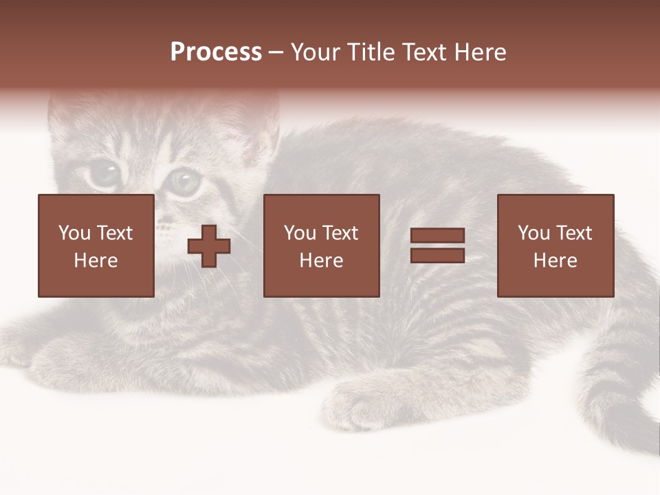 Isolated Detail Close Up Grey PowerPoint Template