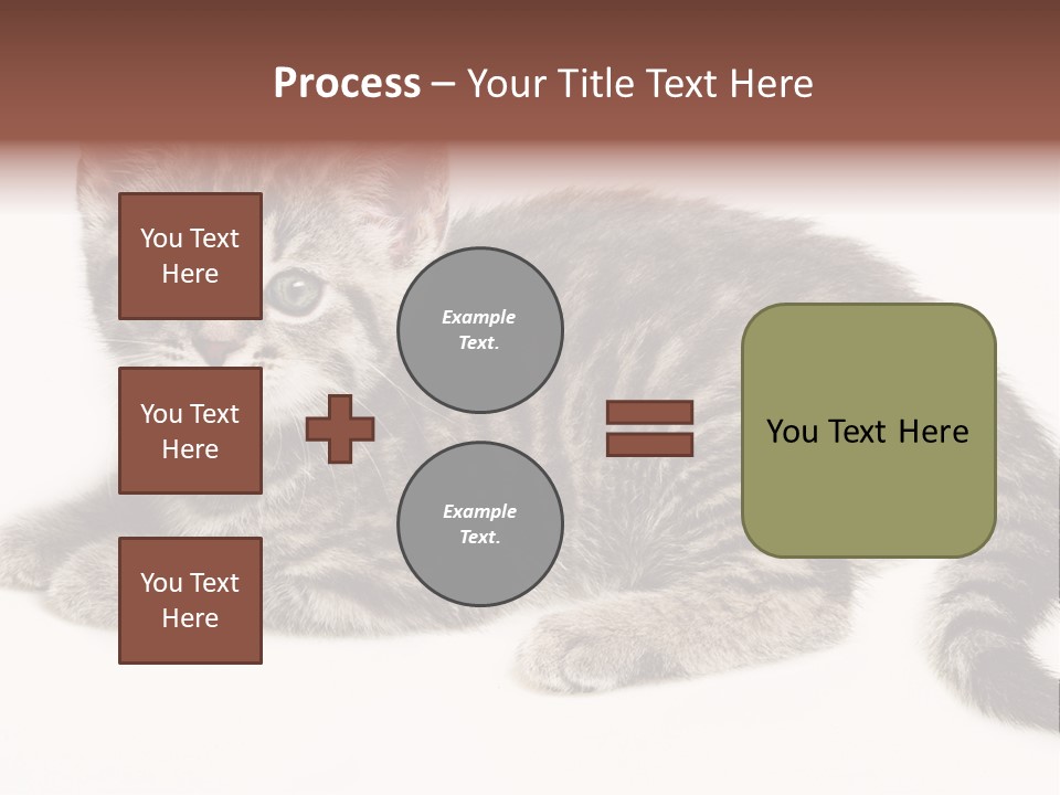 Isolated Detail Close Up Grey PowerPoint Template