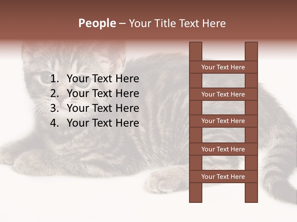 Isolated Detail Close Up Grey PowerPoint Template