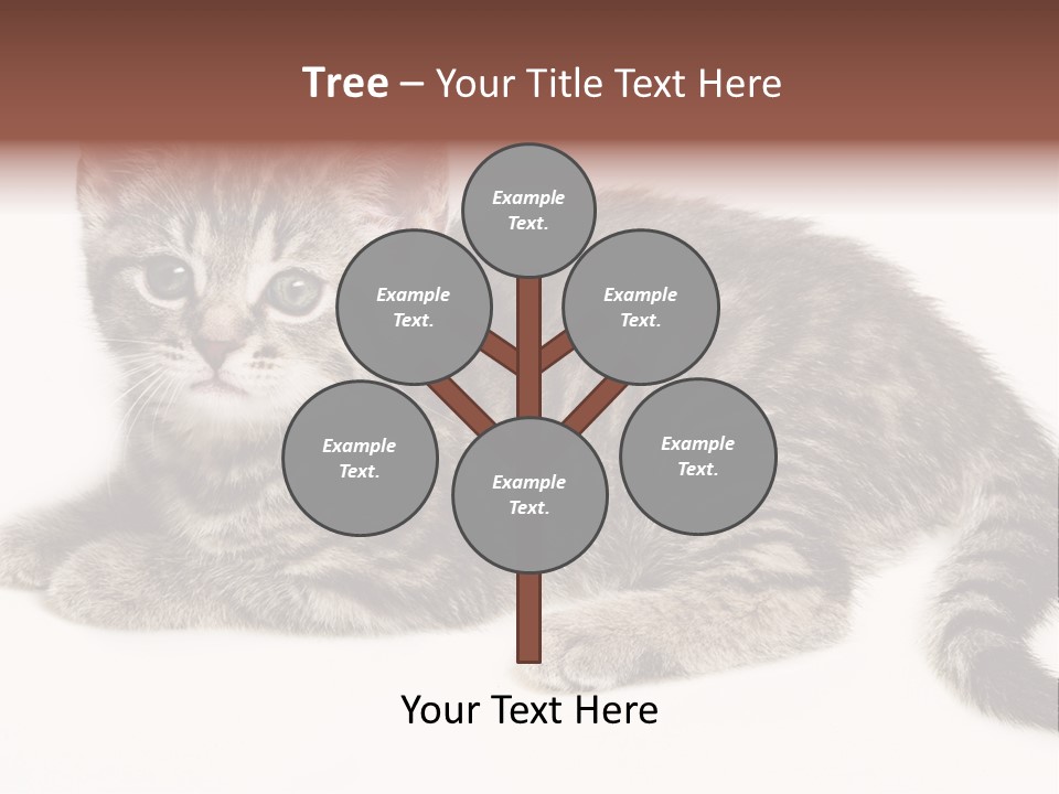 Isolated Detail Close Up Grey PowerPoint Template