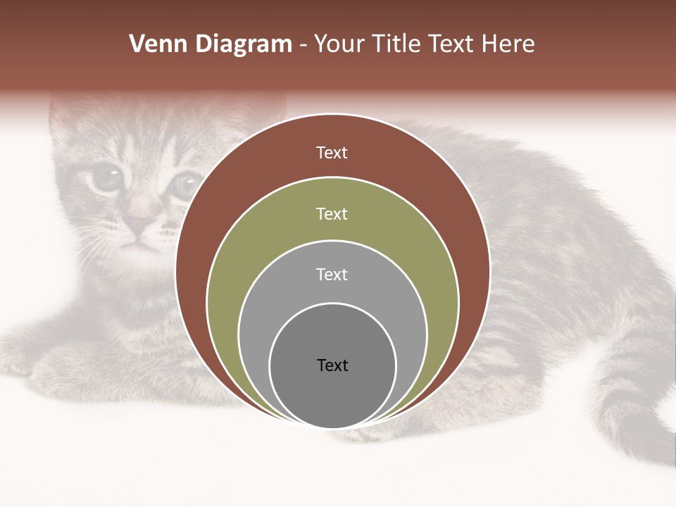 Isolated Detail Close Up Grey PowerPoint Template