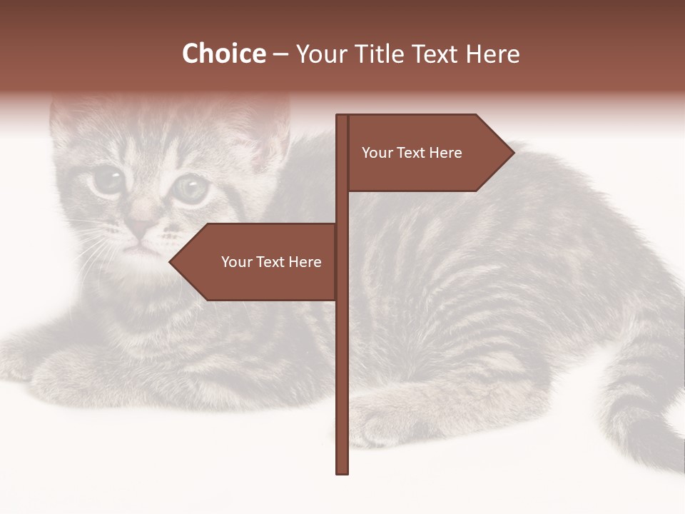 Isolated Detail Close Up Grey PowerPoint Template