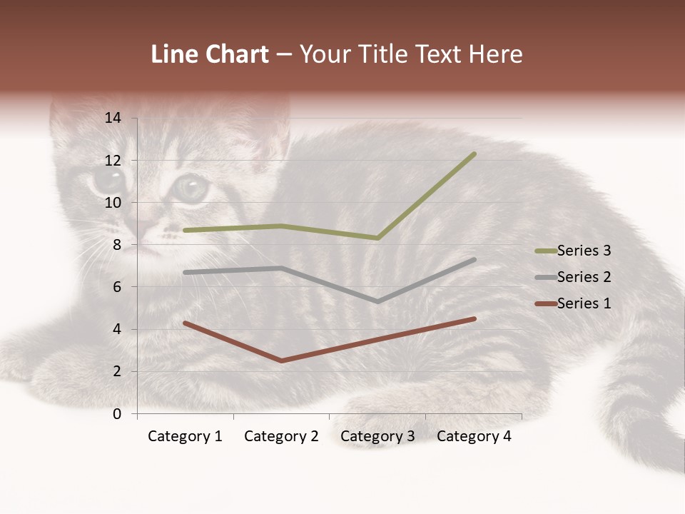 Isolated Detail Close Up Grey PowerPoint Template