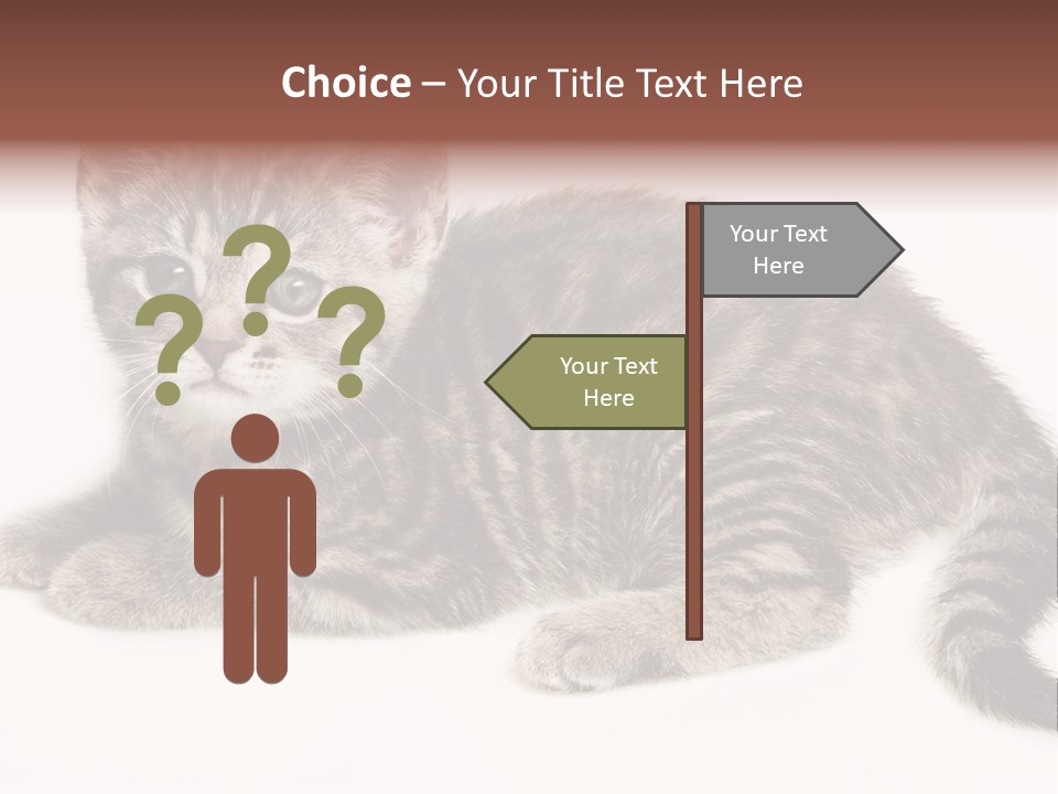 Isolated Detail Close Up Grey PowerPoint Template