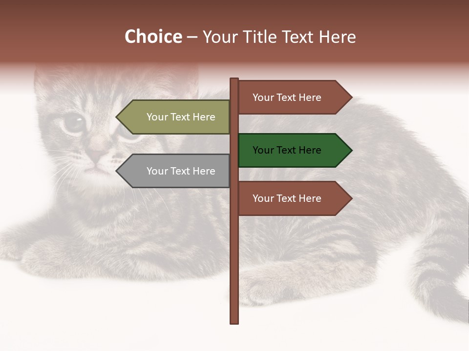 Isolated Detail Close Up Grey PowerPoint Template