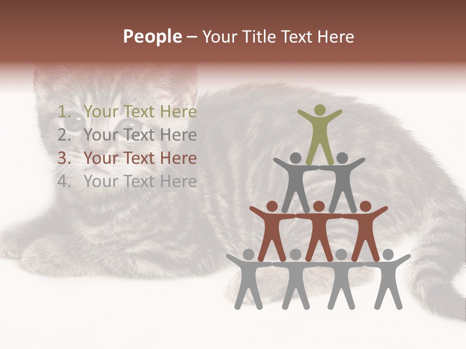 Isolated Detail Close Up Grey PowerPoint Template