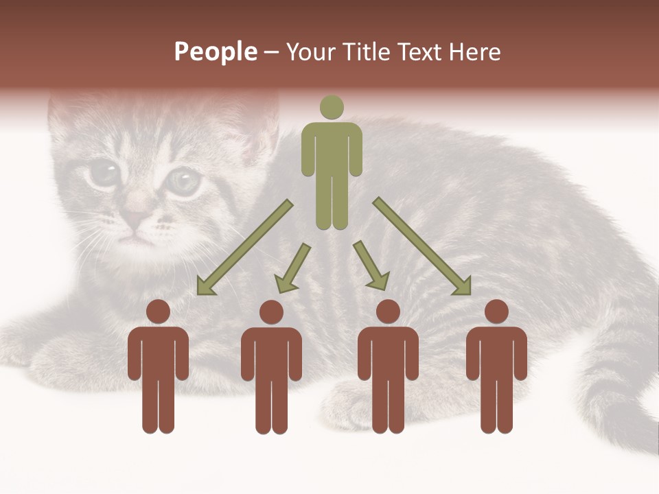 Isolated Detail Close Up Grey PowerPoint Template