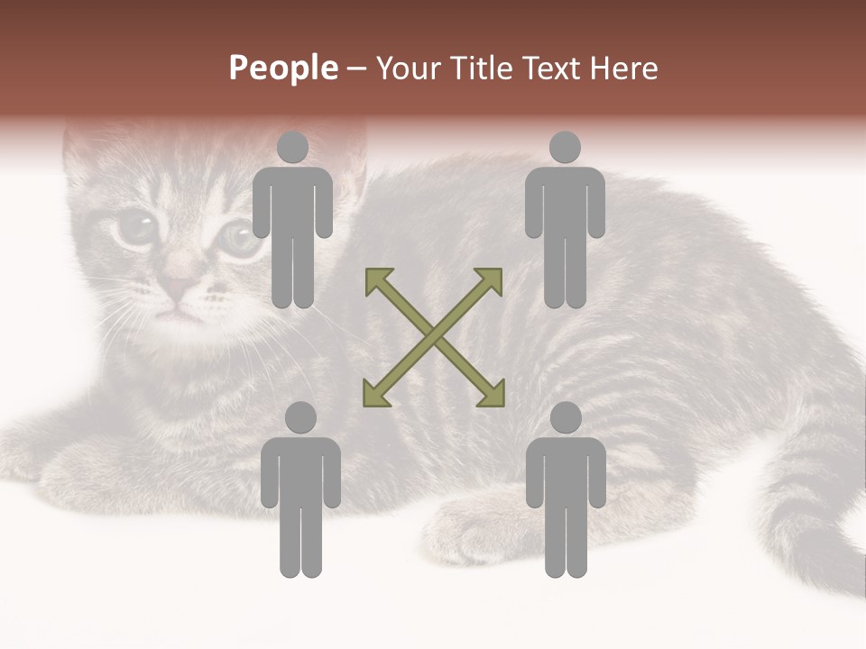 Isolated Detail Close Up Grey PowerPoint Template