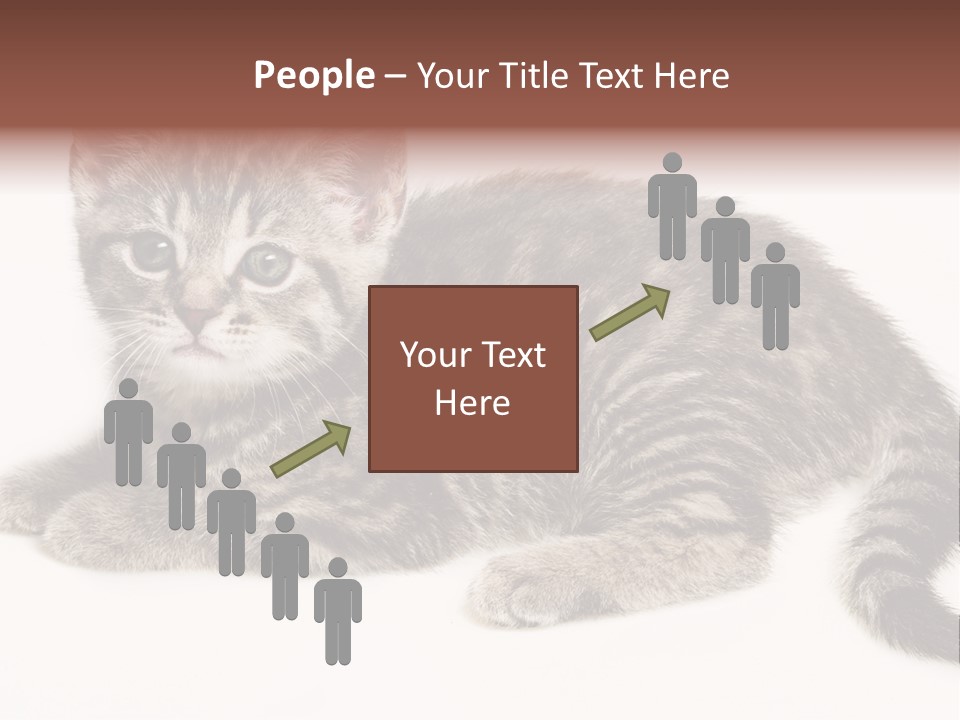 Isolated Detail Close Up Grey PowerPoint Template