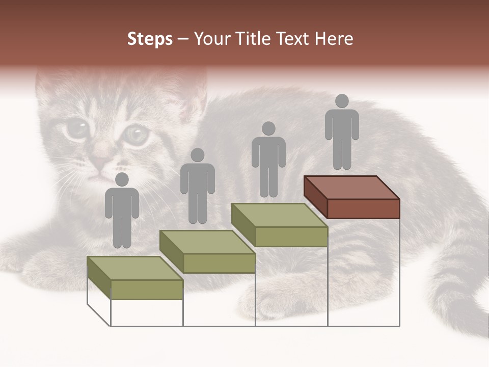 Isolated Detail Close Up Grey PowerPoint Template