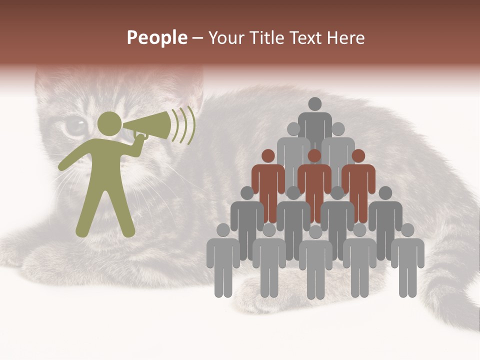 Isolated Detail Close Up Grey PowerPoint Template