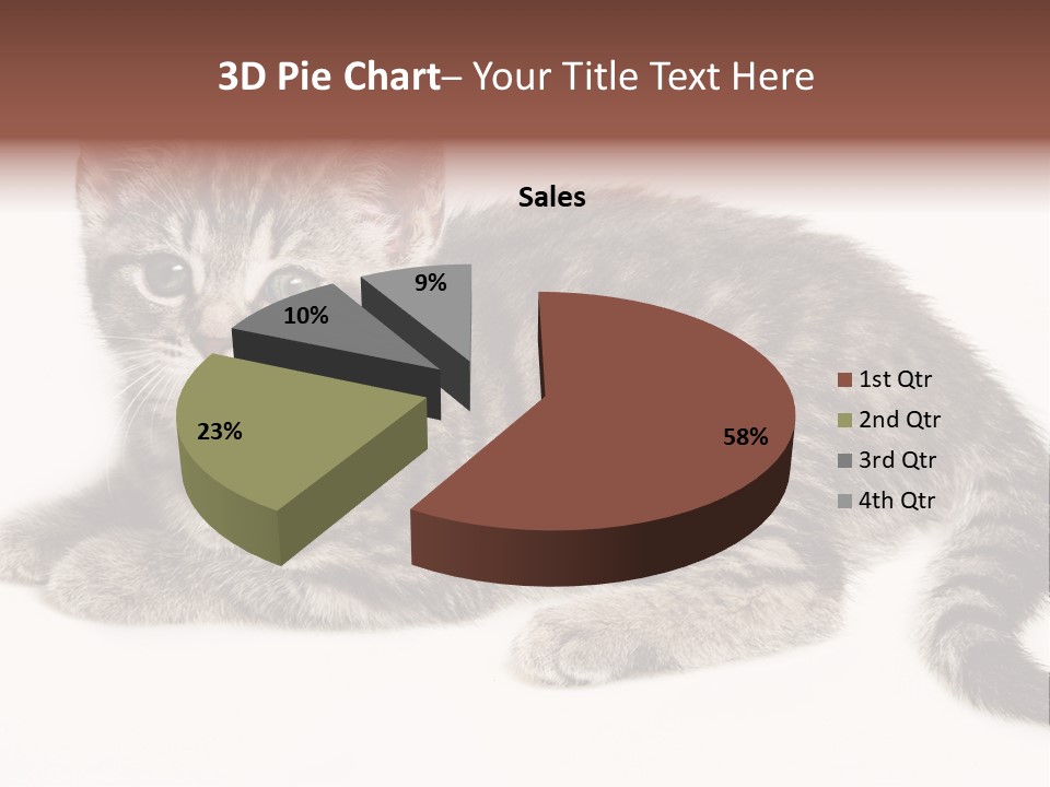 Isolated Detail Close Up Grey PowerPoint Template