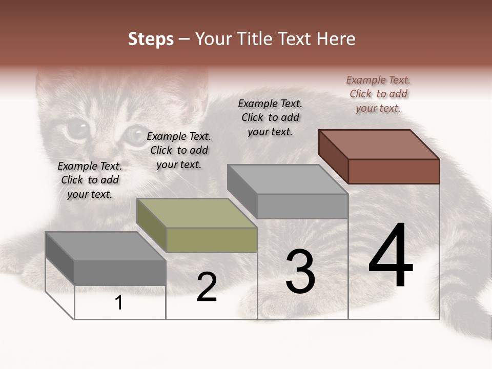 Isolated Detail Close Up Grey PowerPoint Template