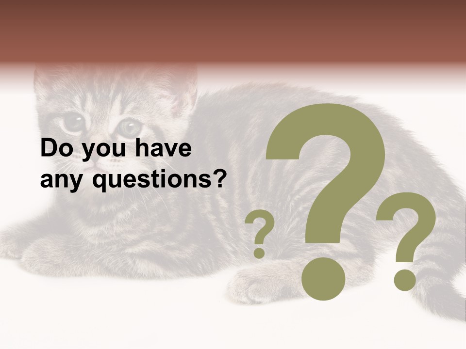 Isolated Detail Close Up Grey PowerPoint Template