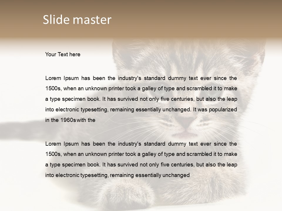 Isolated Animal Cat PowerPoint Template