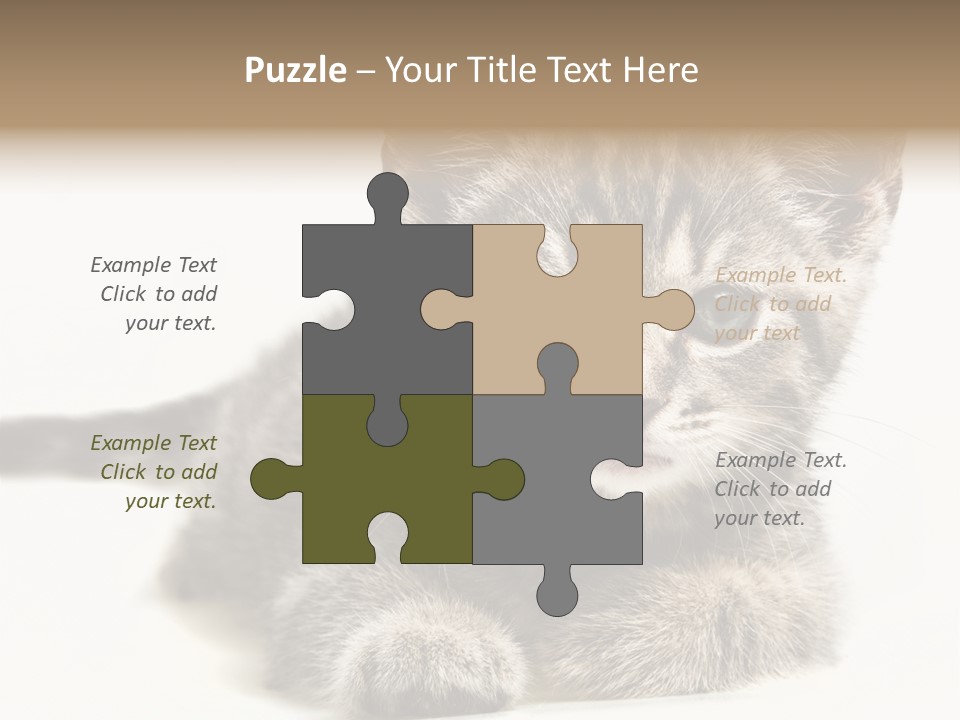 Isolated Animal Cat PowerPoint Template