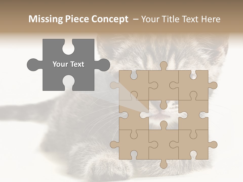 Isolated Animal Cat PowerPoint Template