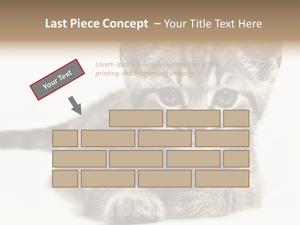 Isolated Animal Cat PowerPoint Template