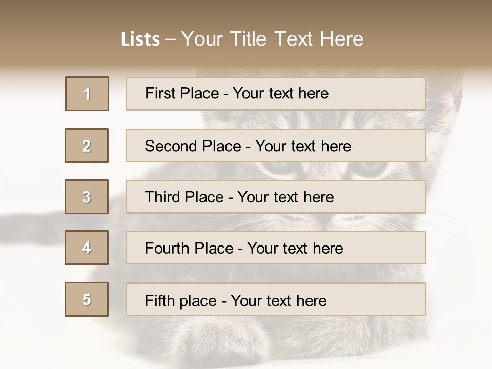 Isolated Animal Cat PowerPoint Template